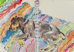 Ciesta, Judi Betts