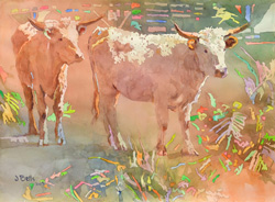 West Texas by Judi Betts